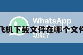 纸飞机下载文件在哪个文件夹